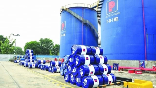 Giá xăng hôm nay tăng cao, nhiều người quyết định chuyển hẳn đi xe đạp