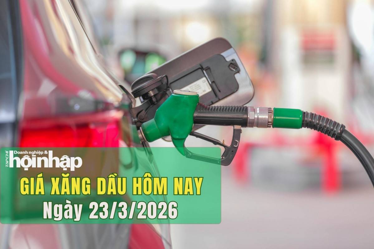Giá xăng dầu hôm nay 23/3/2026: Nguy cơ đứt gãy nguồn cung toàn cầu